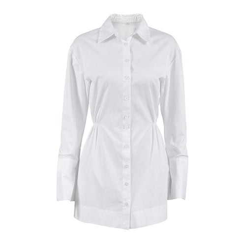 Polo Collar Shirt Dress Fall Winter A Swing for Women