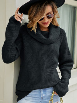 Women Top Autumn Winter Casual Loose Sweater All Match Solid Color Polo Collar Pullover Sweater