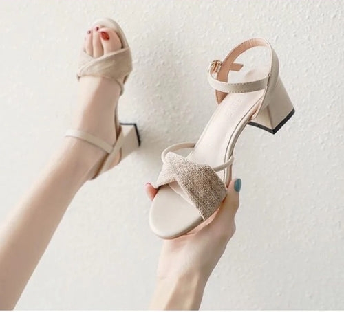 Sandalen met hoge hakken Vrouwelijke zomer Romeinse schoenen met dikke hak Franse kleine sprookjesschoenen