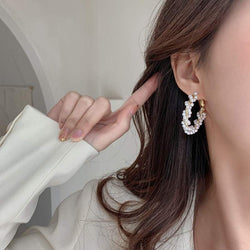 Pearl Circle Earrings, Female Earrings, High-end Exaggerated Earrings, Round Earrings