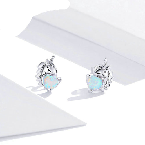 Female personality silver earrings