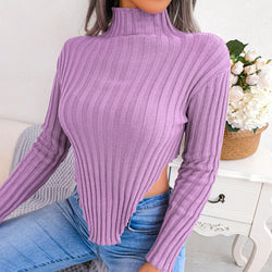 Half High Collar Sexy Long Sleeves Knitted