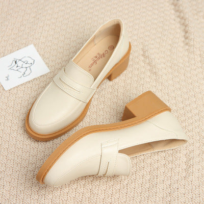 Small Leather Shoes Female British Style Thick Heel Black Retro Japanese Loafers Mid-heel Shoes